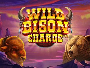 Wild Bison Charge screenshot